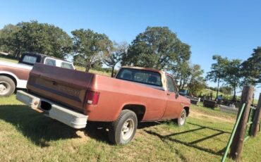 Chevrolet-1500-1982
