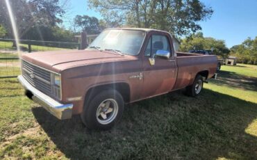 Chevrolet-1500-1982-5