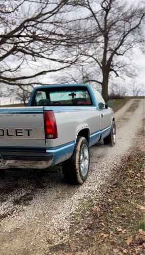 Chevrolet-1500-1993-Blue-Blue-3