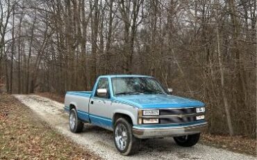 Chevrolet-1500-1993-Blue-Blue-8