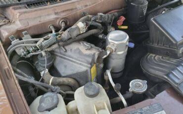 Chevrolet-Astro-van-12-ton-nominal-1995-brown-14