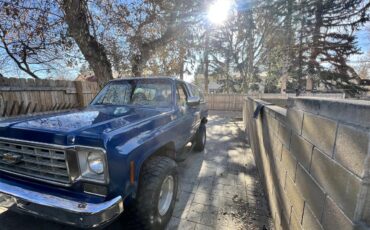 Chevrolet-Blazer-1975-Blue-Greyblue-5