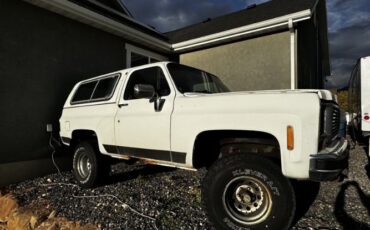 Chevrolet-Blazer-1977-White-Cream-5