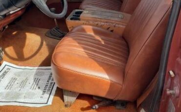 Chevrolet-Blazer-1978-Copper-Tan-5