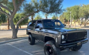 Chevrolet-Blazer-1979-Gray-18