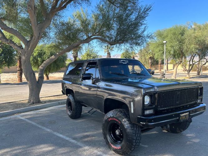 Chevrolet-Blazer-1979-Gray-18