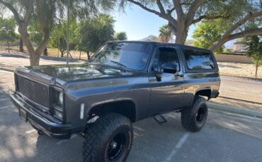 Chevrolet-Blazer-1979-Gray-19