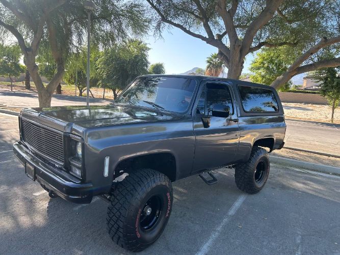 Chevrolet-Blazer-1979-Gray-19