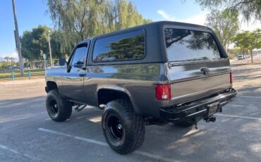 Chevrolet-Blazer-1979-Gray-6