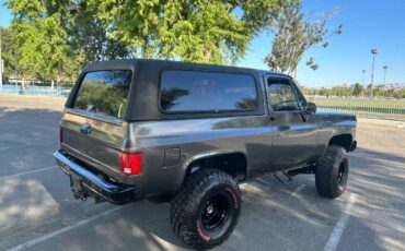 Chevrolet-Blazer-1979-Gray-7