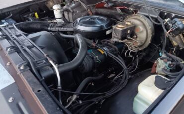 Chevrolet-Blazer-1979-Midnight-Black-Carmine-Red-Deluxe-12