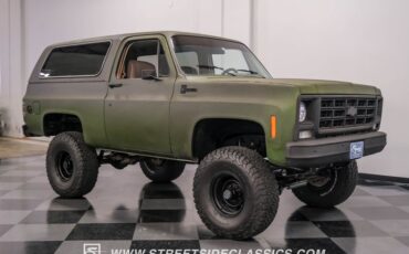 Chevrolet-Blazer-1979-Olive-Drab-Green-Tan-18