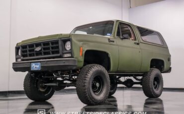 Chevrolet-Blazer-1979-Olive-Drab-Green-Tan-25
