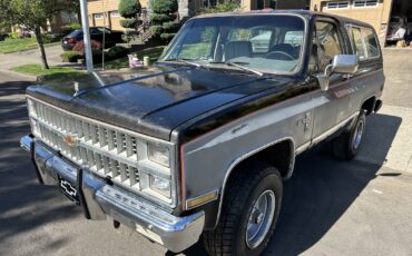 Chevrolet-Blazer-1981-10
