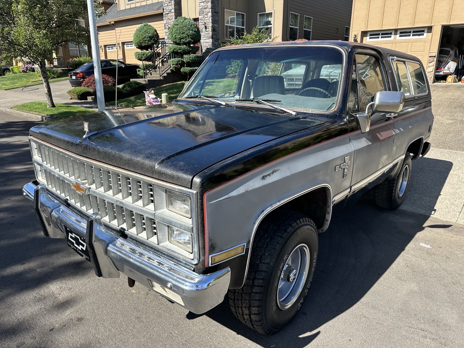 Chevrolet-Blazer-1981-10