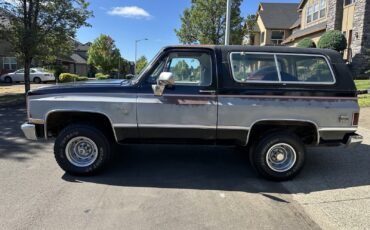 Chevrolet-Blazer-1981-11