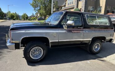 Chevrolet-Blazer-1981-12
