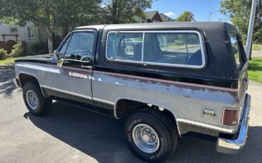 Chevrolet-Blazer-1981-13