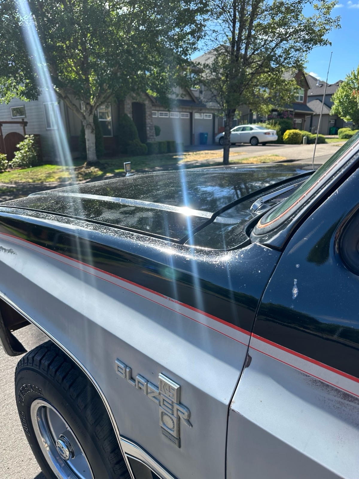 Chevrolet-Blazer-1981-14
