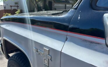 Chevrolet-Blazer-1981-15