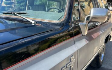Chevrolet-Blazer-1981-18