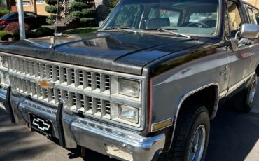 Chevrolet-Blazer-1981-19