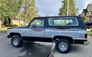 Chevrolet-Blazer-1981-2