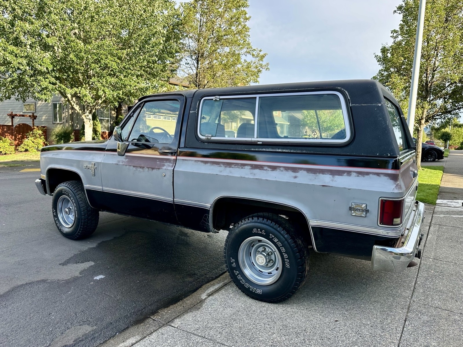 Chevrolet-Blazer-1981-3