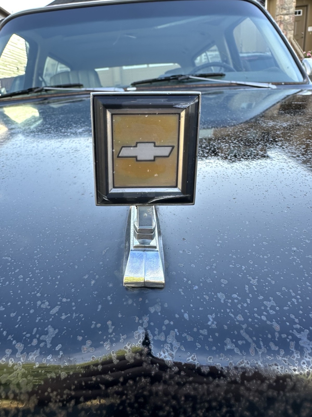 Chevrolet-Blazer-1981-39