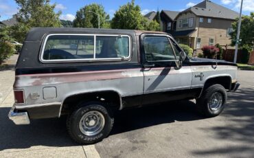 Chevrolet-Blazer-1981-5