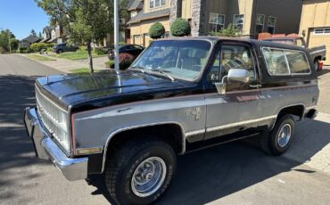 Chevrolet-Blazer-1981-9