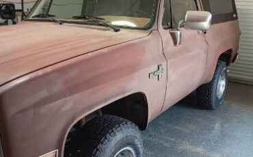 Chevrolet-Blazer-1985-Brown-1