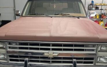 Chevrolet-Blazer-1985-Brown-2