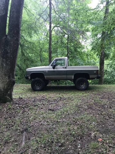 Chevrolet-Blazer-1986-Custom-8