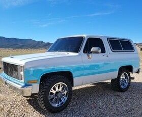 Chevrolet-Blazer-1987-13