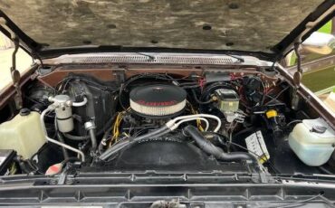 Chevrolet-Blazer-1988-Brown-2