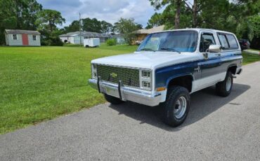 Chevrolet-Blazer-1988-Custom-3