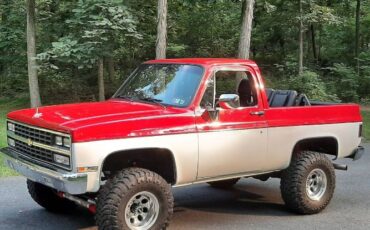 Chevrolet-Blazer-1989-Custom-1