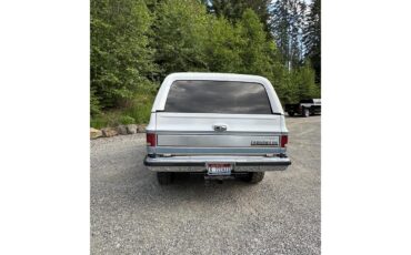 Chevrolet-Blazer-1989-White-Blue-2