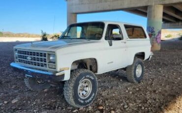 Chevrolet-Blazer-1990-White-10