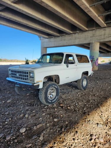 Chevrolet-Blazer-1990-White-10