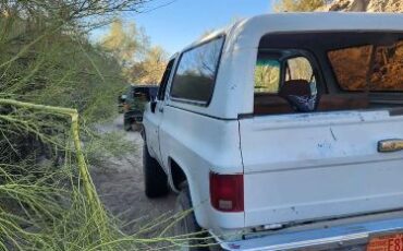 Chevrolet-Blazer-1990-White-5