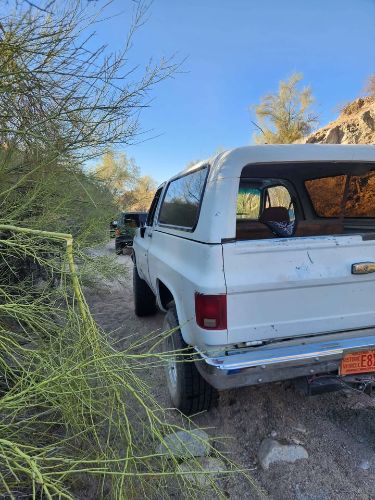 Chevrolet-Blazer-1990-White-5