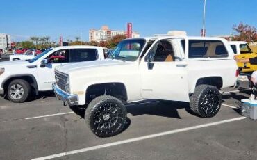 Chevrolet-Blazer-1990-White-8