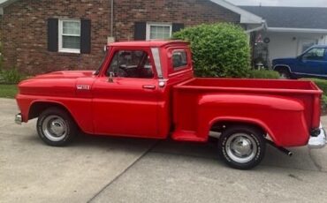 Chevrolet-C-10-1965-Other-14