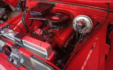 Chevrolet-C-10-1965-Other-8
