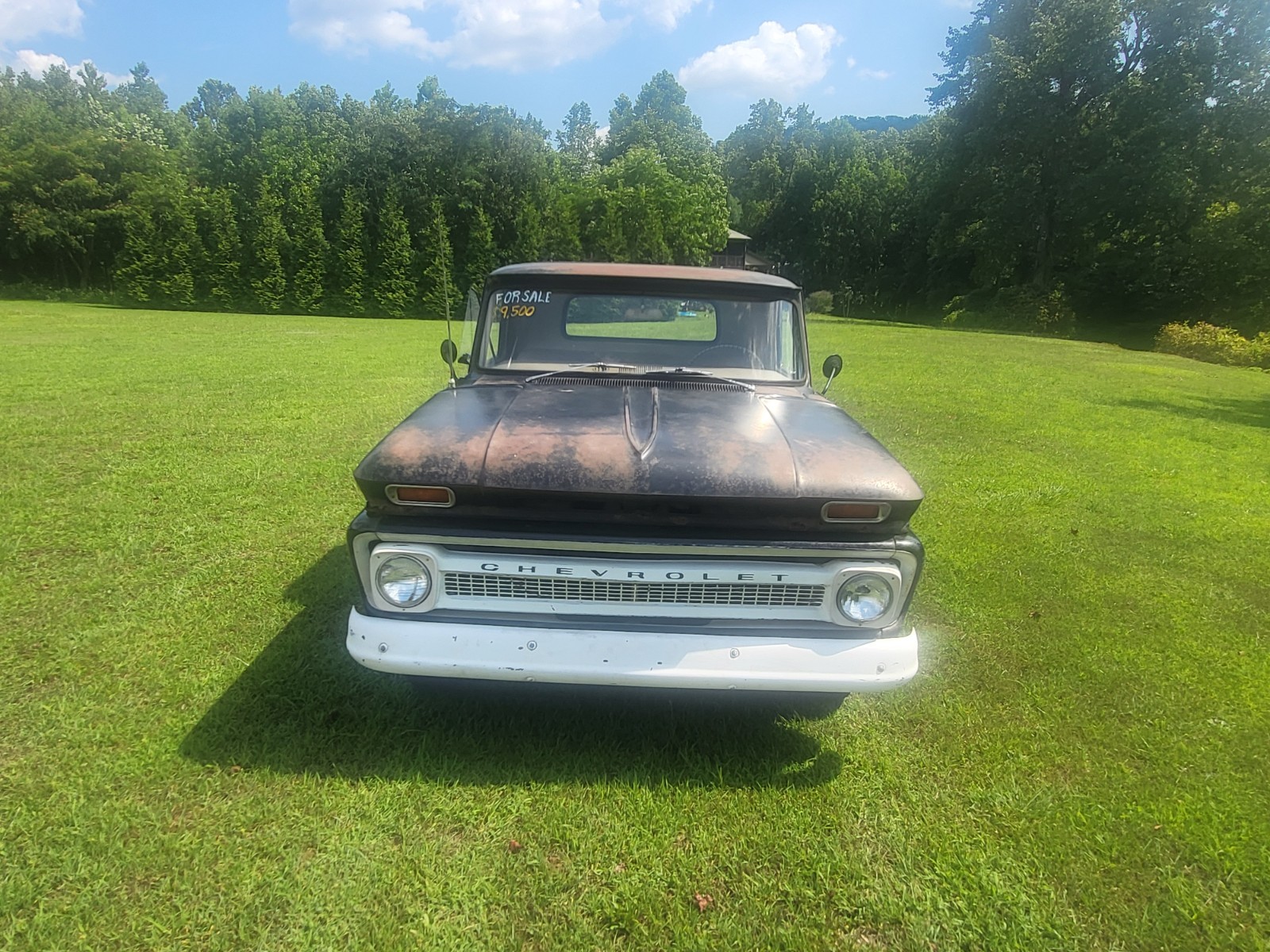 Chevrolet-C-10-1966-11