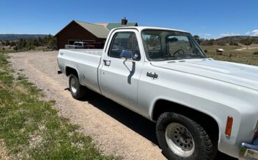 Chevrolet-C-10-1974-1