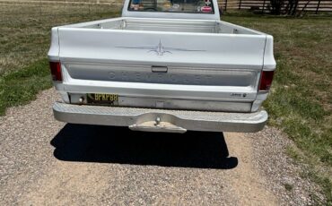 Chevrolet-C-10-1974-4