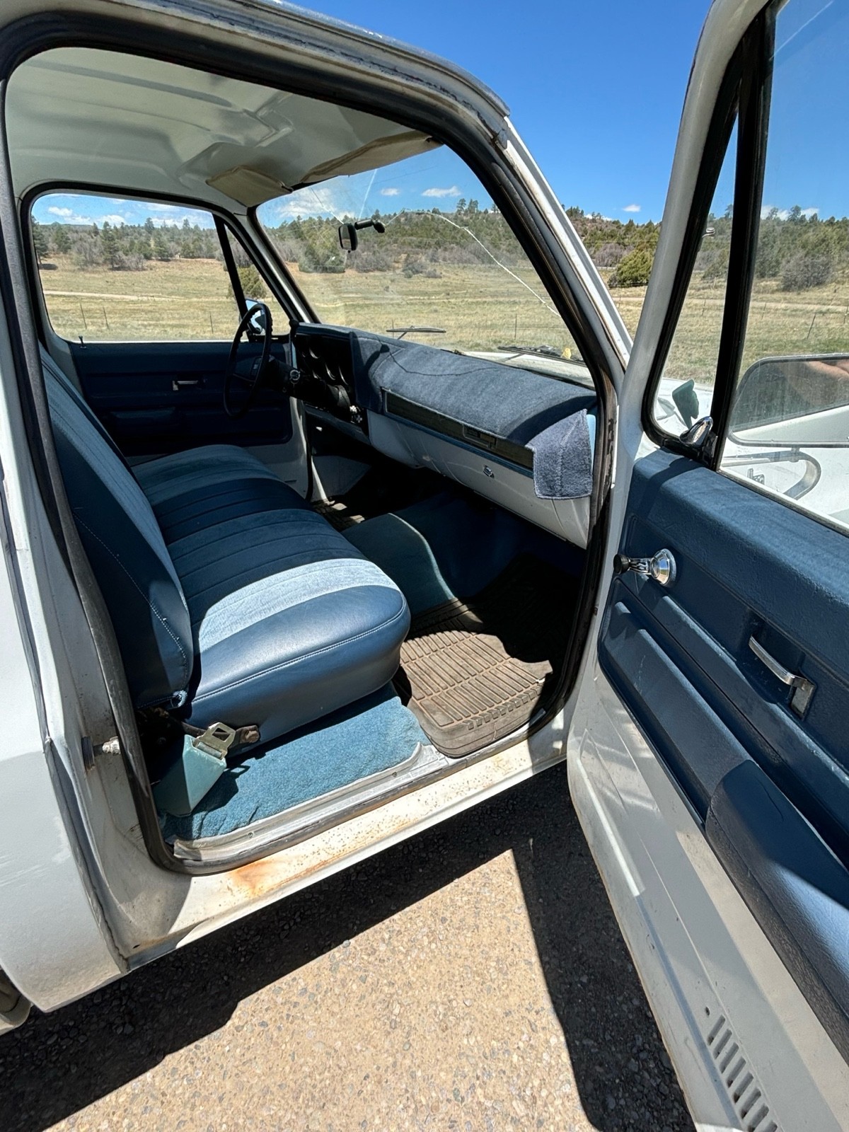 Chevrolet-C-10-1974-5